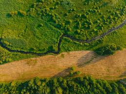 1200 Square Meter Table Land
